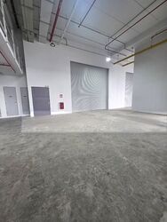 Ct Foodnex (D25), Factory #586602241